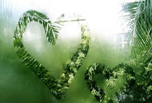 NG28官网:争议!39岁梁文博:打假球是被打压被胁迫 被终身禁赛很委屈很愤怒.